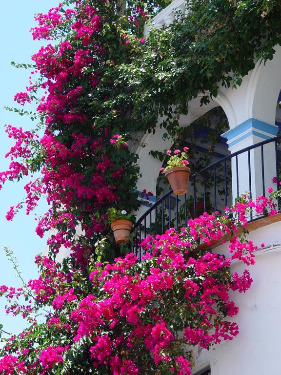 Pierre & Vacances Mojacar Playa المظهر الخارجي الصورة